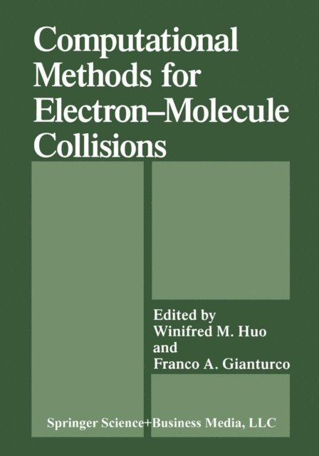 W.M. Huo, Franco A. Gianturco - Computational Methods for Electron-Molecule Collisions, E-bok