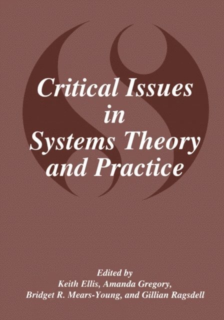 Gillian Ragsdell, B.R. Mears-Young, Amanda J. Gregory, K. Ellis - Critical Issues in Systems Theory and Practice, E-bok