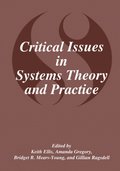Critical Issues in Systems Theory and Practice