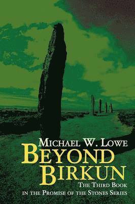 Michael W Lowe - Beyond Birkun, Häftad. Tillgänglighet: Tillfälligt slut