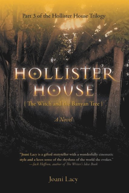 Joani Lacy - Hollister House, E-bok. Tillgänglighet: Lägg i varukorg