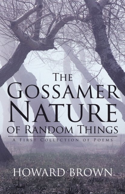 Howard Brown - Gossamer Nature of Random Things, E-bok