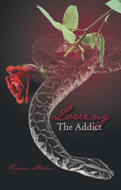 Raven Storm - Loving the Addict, E-bok. Tillgänglighet: Lägg i varukorg