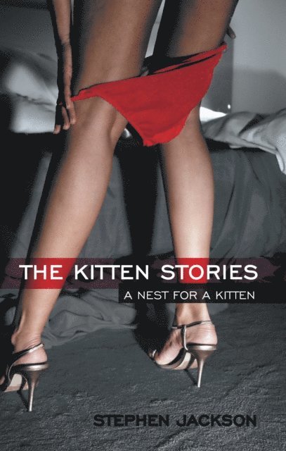 Stephen Jackson - Kitten Stories, E-bok