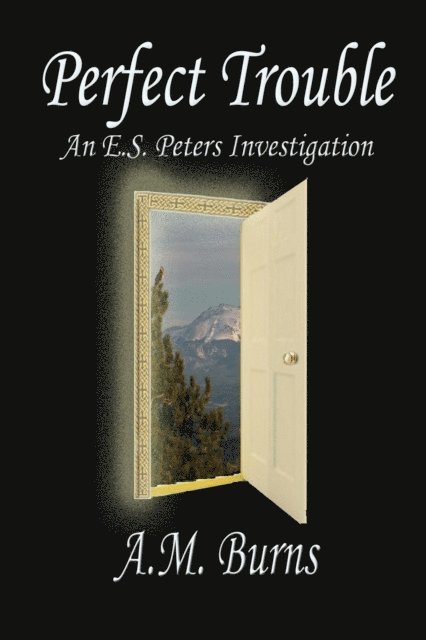 A.M. Burns - Perfect Trouble, E-bok