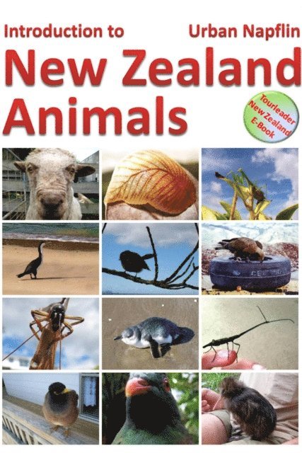 Urban Napflin - Introduction to New Zealand Animals, E-bok. Tillgänglighet: Lägg i varukorg