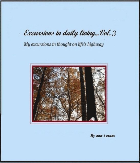 Ann Evans - Excursions in daily living... Vol 3, E-bok