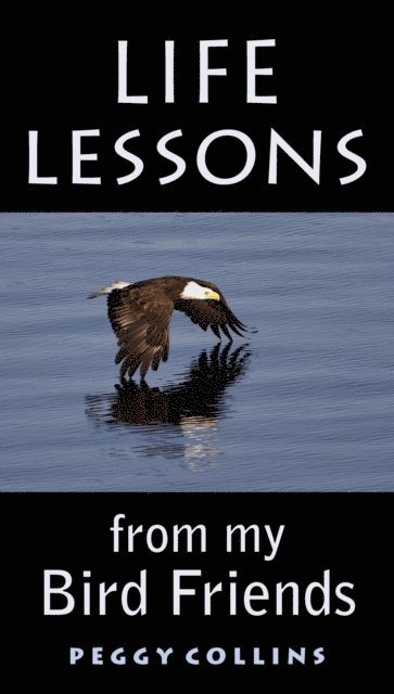 Peggy Collins - Life Lessons from My Bird Friends, E-bok
