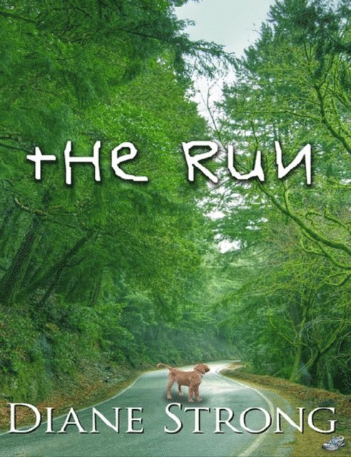 Diane Strong - Run (The Running Suspense Collection #1), E-bok. Tillgänglighet: Lägg i varukorg