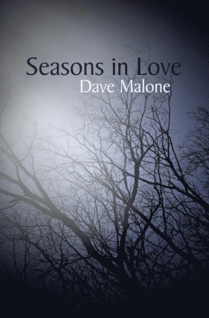 Dave Malone - Seasons in Love, E-bok