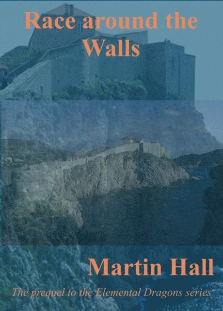 Martin Hall - Race Around the Walls, E-bok