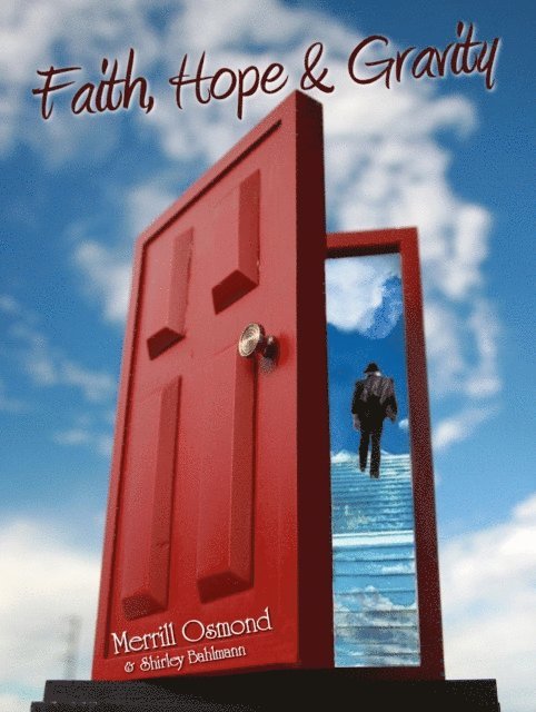 Shirley Bahlmann - Faith, Hope and Gravity, E-bok