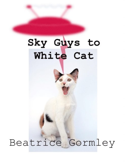 Beatrice Gormley - Sky Guys to White Cat, E-bok