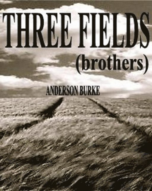 Anderson Burke - THREE FIELDS (brothers), E-bok
