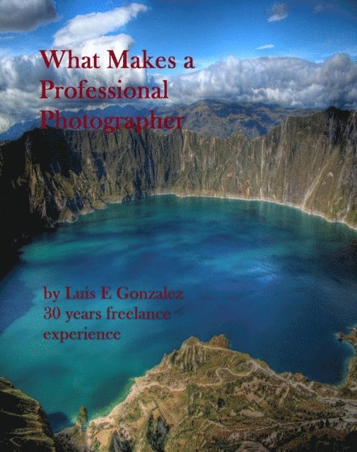 Luis Gonzalez - What Makes a Professional Photographer, E-bok