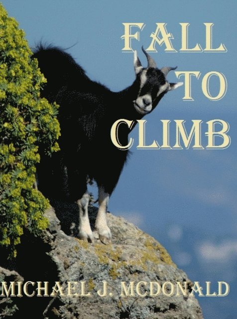 Michael McDonald - Fall to Climb, E-bok