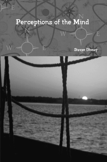 Steven Disney - Perceptions of the Mind, E-bok