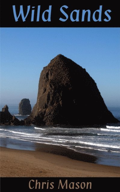 Chris Mason - Wild Sands, E-bok