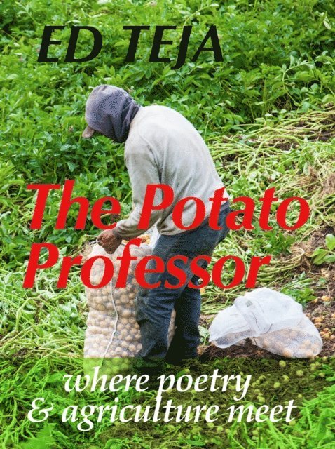 Ed Teja - Potato Professor, E-bok