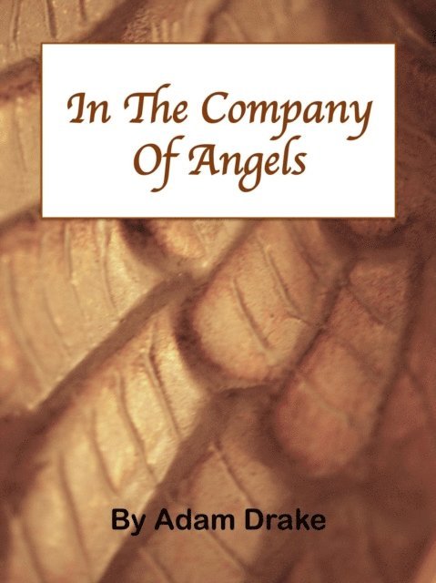 Adam Drake - In The Company of Angels, E-bok