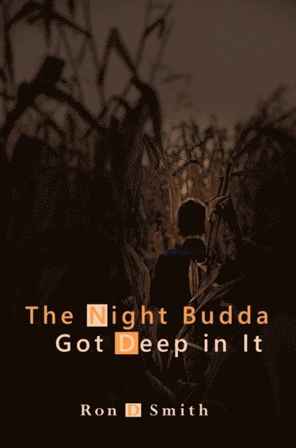 Ron D Smith - Night Budda Got Deep in It, E-bok