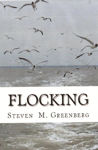 Steven Greenberg - Flocking, E-bok