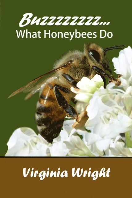 Virginia Wright - Buzzzzzzzz What Honeybees Do, E-bok