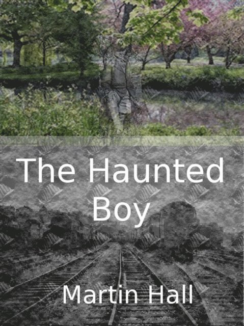 Martin Hall - Haunted Boy, E-bok