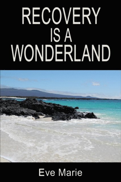 Eve Marie - Recovery is a Wonderland, E-bok