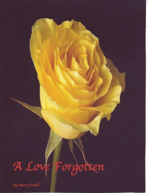 Mary Powell - Love Forgotten, E-bok