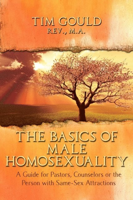 Tim Gould - Basics of Male Homosexuality (A Guide for Pastors, Counselors or the Person with Same-Sex Attractions), E-bok