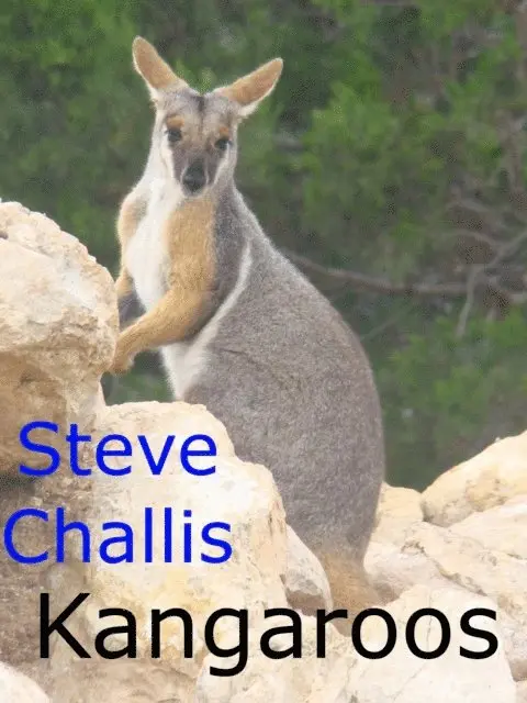 Steve Challis - Kangaroos, E-bok. Tillgänglighet: Lägg i varukorg