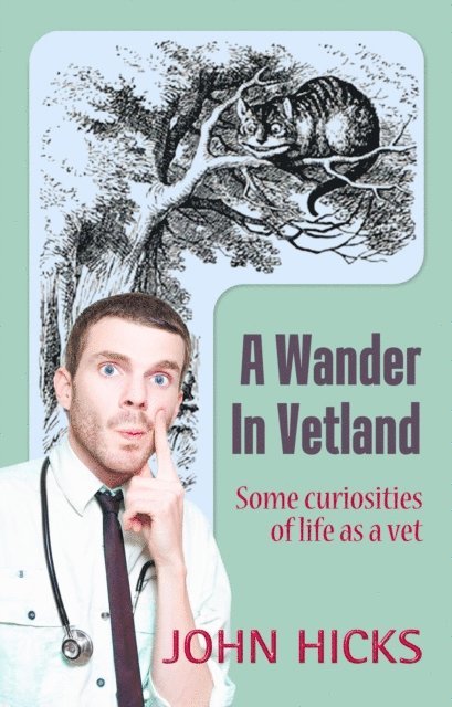 John Hicks - Wander in Vetland, E-bok