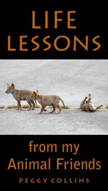 Peggy Collins - Life Lessons from My Animal Friends, E-bok