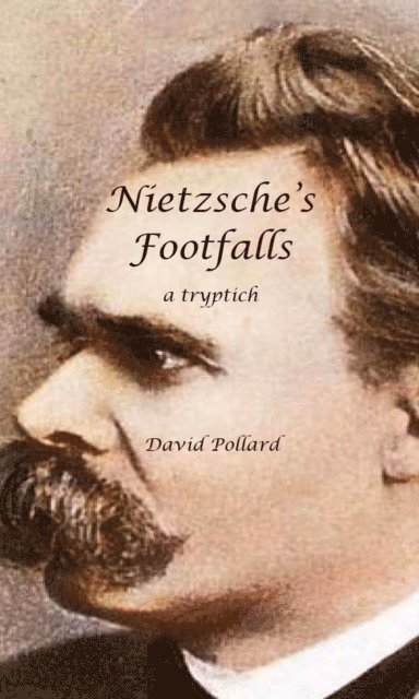 David Pollard - Nietzsche's Footfalls, E-bok