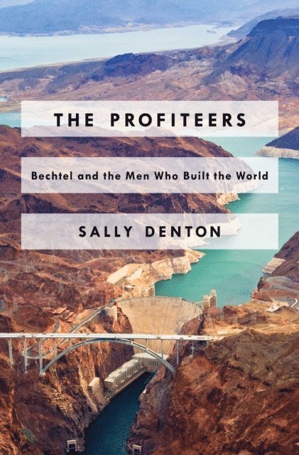 Sally Denton - Profiteers, E-bok
