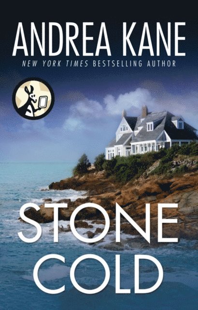 Andrea Kane - Stone Cold, E-bok