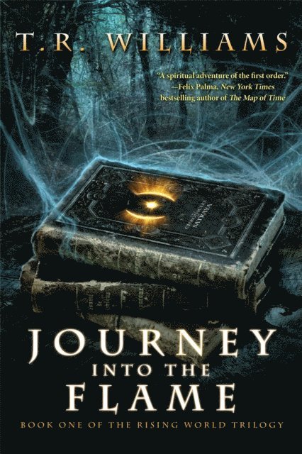 T. R. Williams - Journey Into the Flame, E-bok