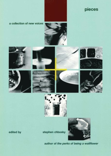 Stephen Chbosky - Pieces, E-bok