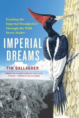 Tim Gallagher - Imperial Dreams, Häftad. Tillgänglighet: Lägg i varukorg
