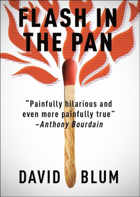 David Blum - Flash in the Pan, E-bok