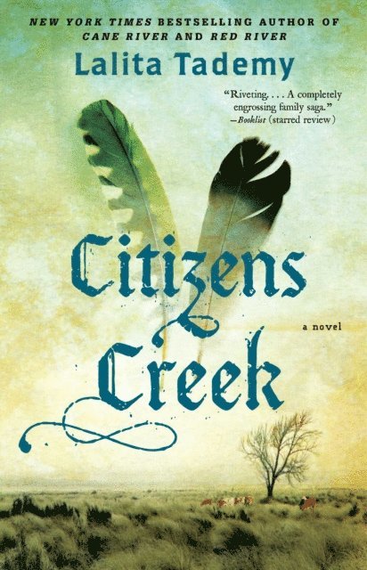 Lalita Tademy - Citizens Creek, E-bok