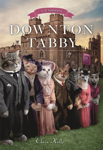 Chris Kelly - Downton Tabby, E-bok