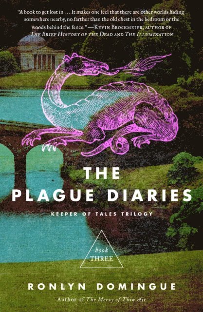 Ronlyn Domingue - Plague Diaries, E-bok