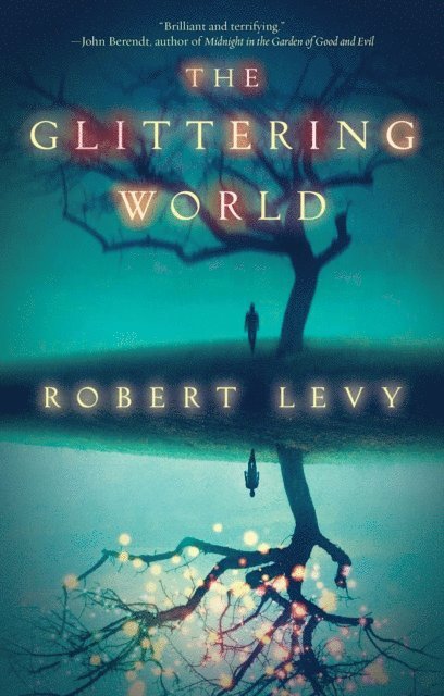 Robert Levy - Glittering World, E-bok