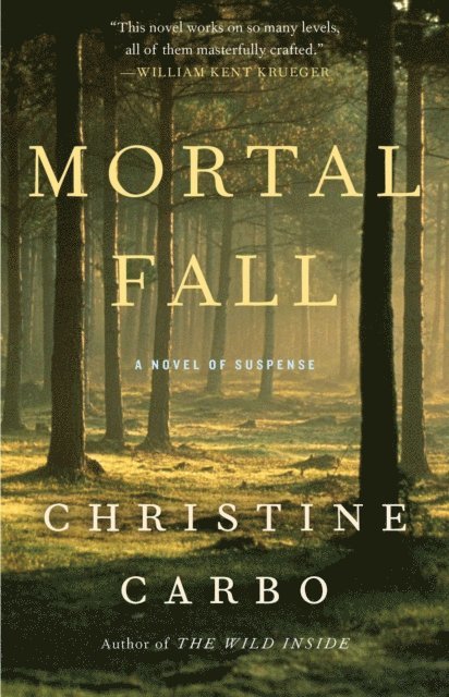 Christine Carbo - Mortal Fall, E-bok