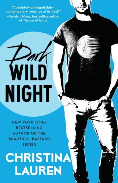 Christina Lauren - Dark Wild Night, E-bok
