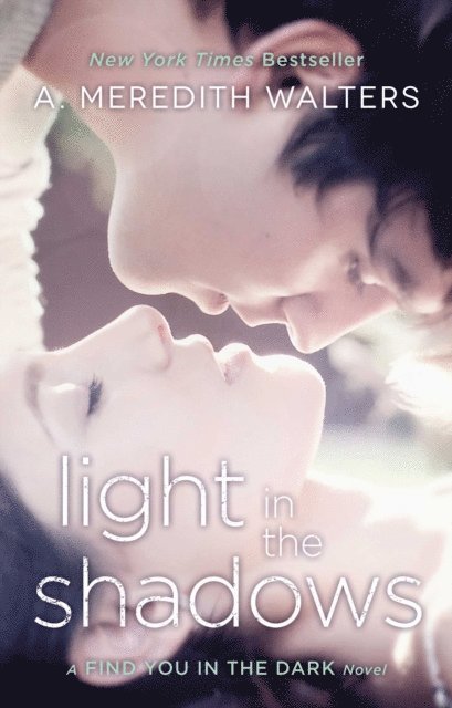 A. Meredith Walters - Light in the Shadows, E-bok