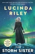 The Storm Sister: Ally's Story