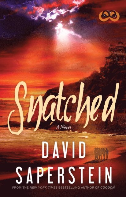 David Saperstein - Snatched, E-bok
